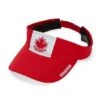 Gongshow Nucks Visey Visor -Hockey Equipage Store HS20 M32 Nucks Visey 01 555x 67f73907 aebc 40e4 9952 99d9d04970e8