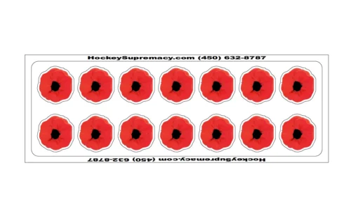 HockeySupremacy.com Hockey Helmet Stickers -Hockey Equipage Store ScreenShot2020 09 21at12.13.39PM